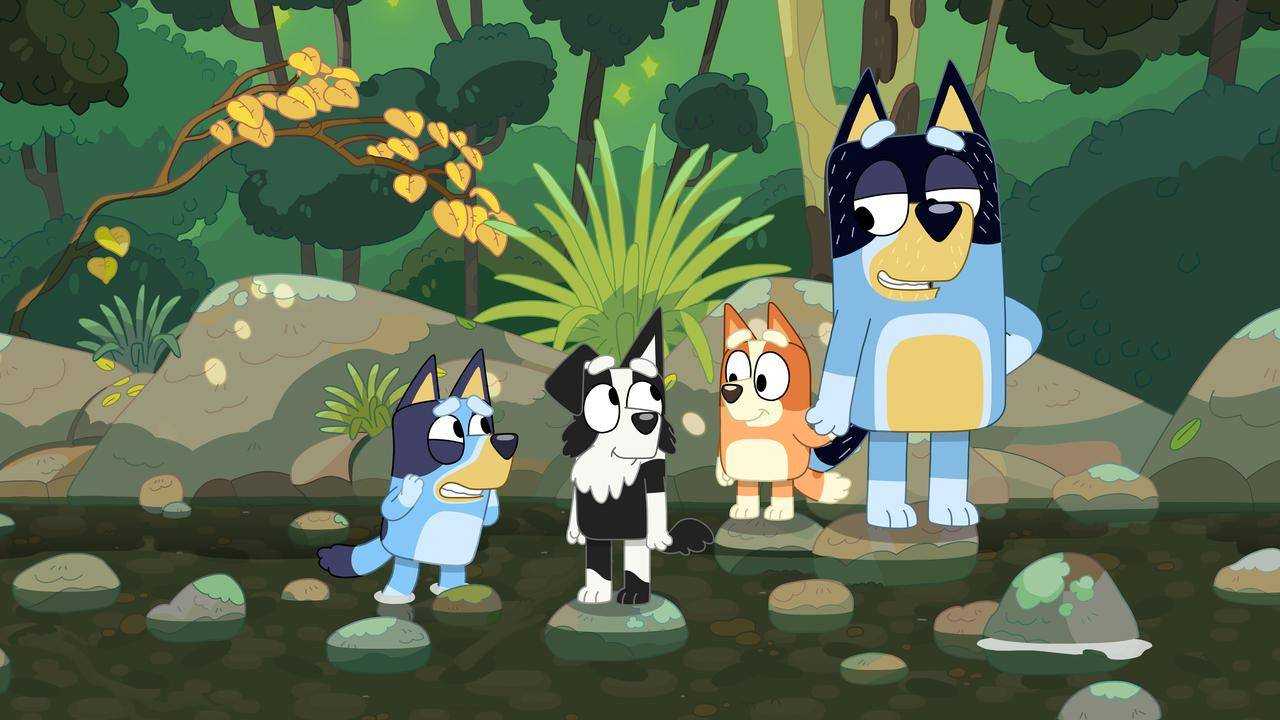 Bluey and her family head to the cove with her New Zealand border collie friend Mackenzie in this episode.