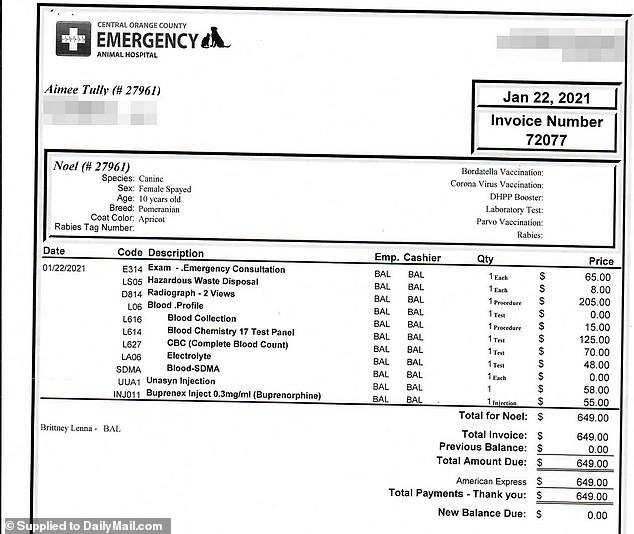 An invoice obtained by DailyMail.com show Noel's emergency trip to the vet cost a total of $2,237, which Healthy Spot agreed to cover